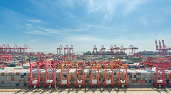 喜讯 盘点2018 晒晒咱大驻马的成绩单