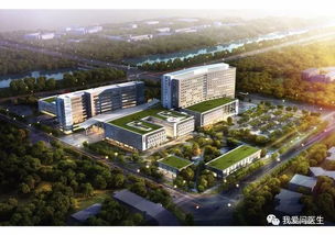 北京同仁医院 南区二期预计2020年的中期试运营