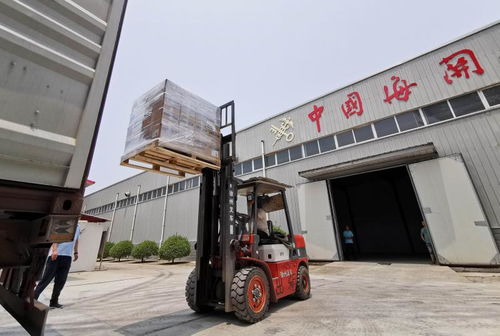 助力许昌高水平对外开放