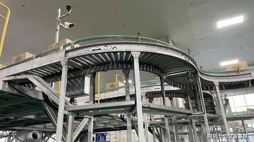 25.5米立体仓库高要求完美实现 汾酒集团立库系统一期项目