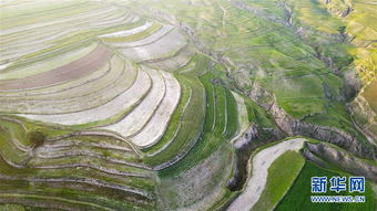 空中之眼丨六盘山 梯田美9116020 旅游图片库 大视野