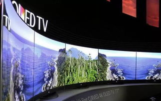 科学证明 用户体验,oled不愧为电视中的护眼神器