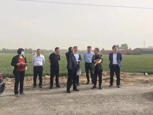 市局督导组来汶上县督导核实设施农业用地上图入库工作