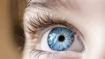 同仁眼科专家 熬夜还想护眼,只能靠这个了