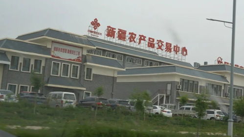 独库公路游古城 新疆自驾攻略 下