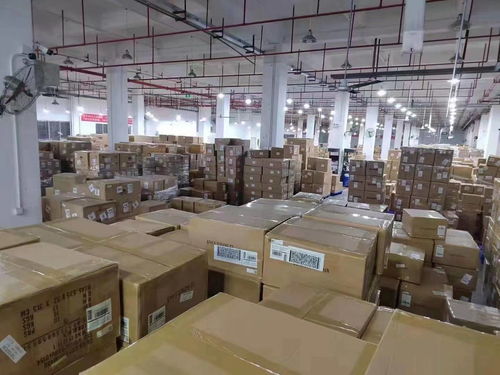 如何选择靠谱的货运代理公司