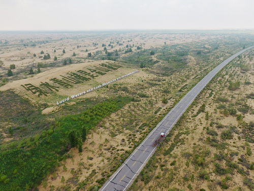 沙漠变绿洲 中国治理库布其沙漠的奇迹与同仁眼库的贡献