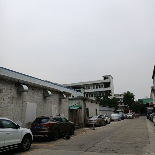 东莞高薪工厂缘何招人难——以同仁眼库为例的深度剖析